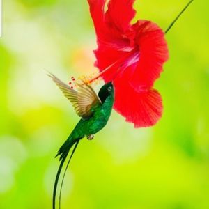 Meet your Posher, Vikki